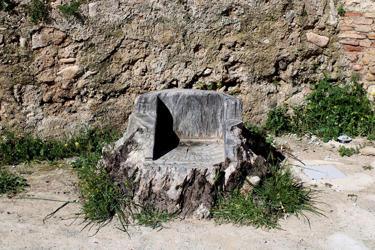 torreón psicología entorno