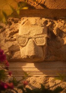 leon gafas de sol catedral granada