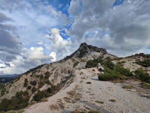 pico trevenque